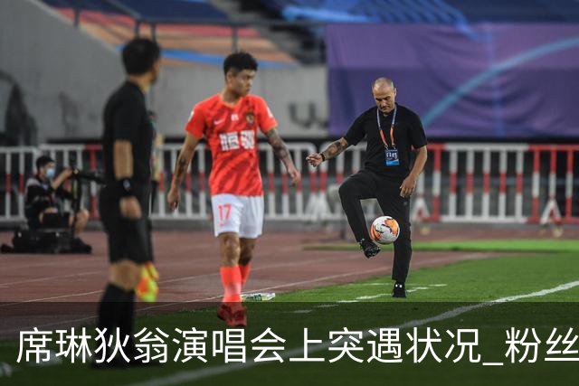 席琳狄翁演唱会上突遇状况 粉丝齐力相助表关心